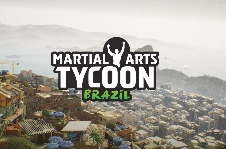 Martial arts tycoon: brazil
