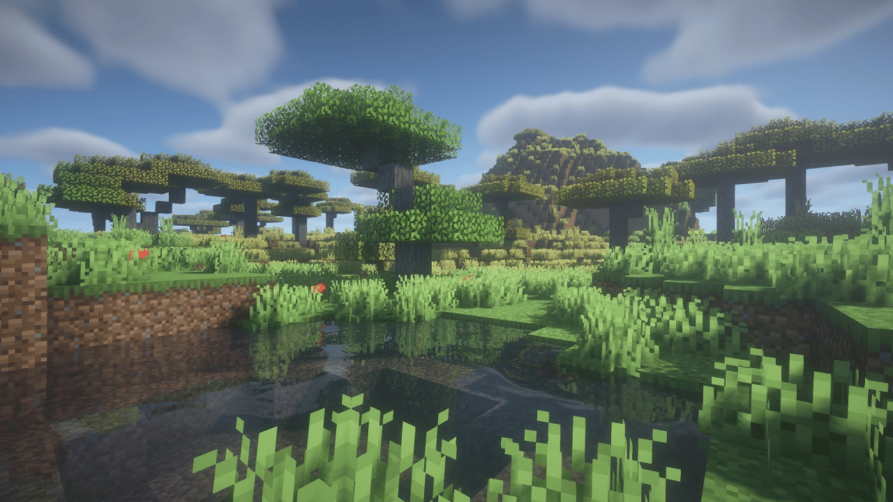 Bsl shaders